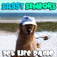 Sassy Seniors pet radio and podcast