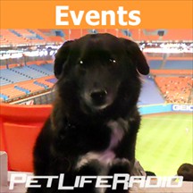 Events and Trade Shows pet radio and podcast