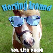 Horsing Around horses radio and podcast