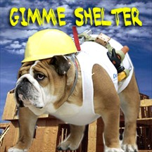 Gimme Shelter