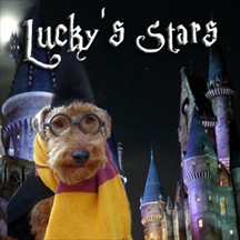 Lucky's Stars pet radio and podcast