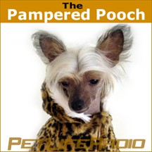 The Pampered Pooch pet radio and podcast