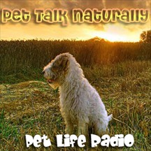 Pet Talk Naturally pet radio and podcast