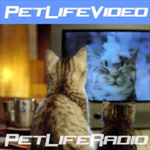 Pet Life Video weekly pet videos