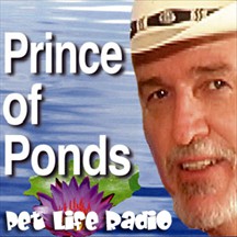 Prince of Ponds pet radio and podcast