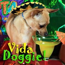 Vida Doggie pet radio and podcast