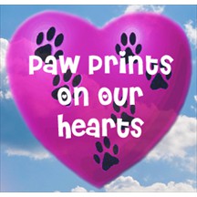 Paw Prints on our Hearts pet radio and podcast