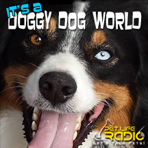 It's A Doggy Dog World dogs radio and podcast