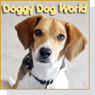 pet podcast - pets
