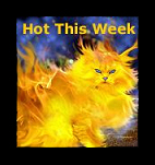 Check out what's 
hot on Pet Life Radio this week!