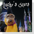 pet podcast - Lucky's Stars-Pet Horoscopes