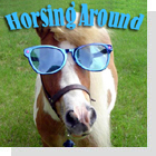 pet podcast - Horsing Around - all about horses