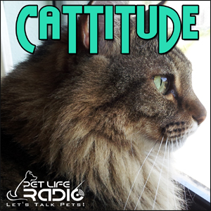 Cattitude with Michelle Fern & Tom Dock on Pet Life Radio