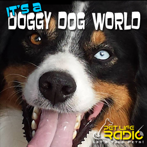 It's A Doggy Dog World on Pet Life Radio