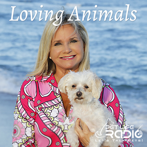 Loving Animals on Pet Life Radio