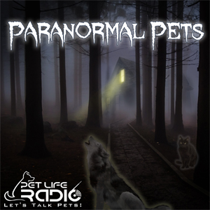 Paranormal Pets with Brandy Stark on Pet Life Radio