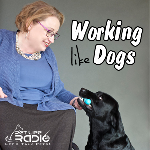 Working Like Dogs with Marcie Davis on Pet Life Radio