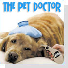 pet podcast - pets
