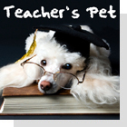 pet podcast - pets