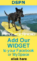 Get our Widget!