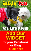 Add our widget to your Facebook or MySpace!