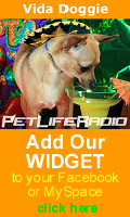 Add our widget to your Facebook or MySpace!