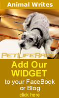 Add our widget to your Facebook or Blog!