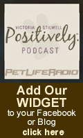 Add our widget to your Facebook or Blog!
