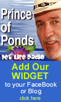 Add the Prince of Ponds widget to your Facebook or Blog!