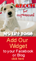 Get our widget for your Facebook, blog or website