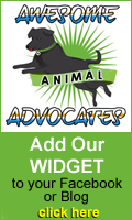 Add our widget to your Facebook or Blog!