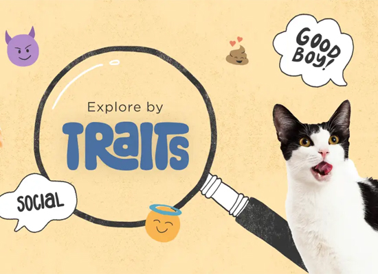 Zoetis Breed Explorer  on Pet Life Radio