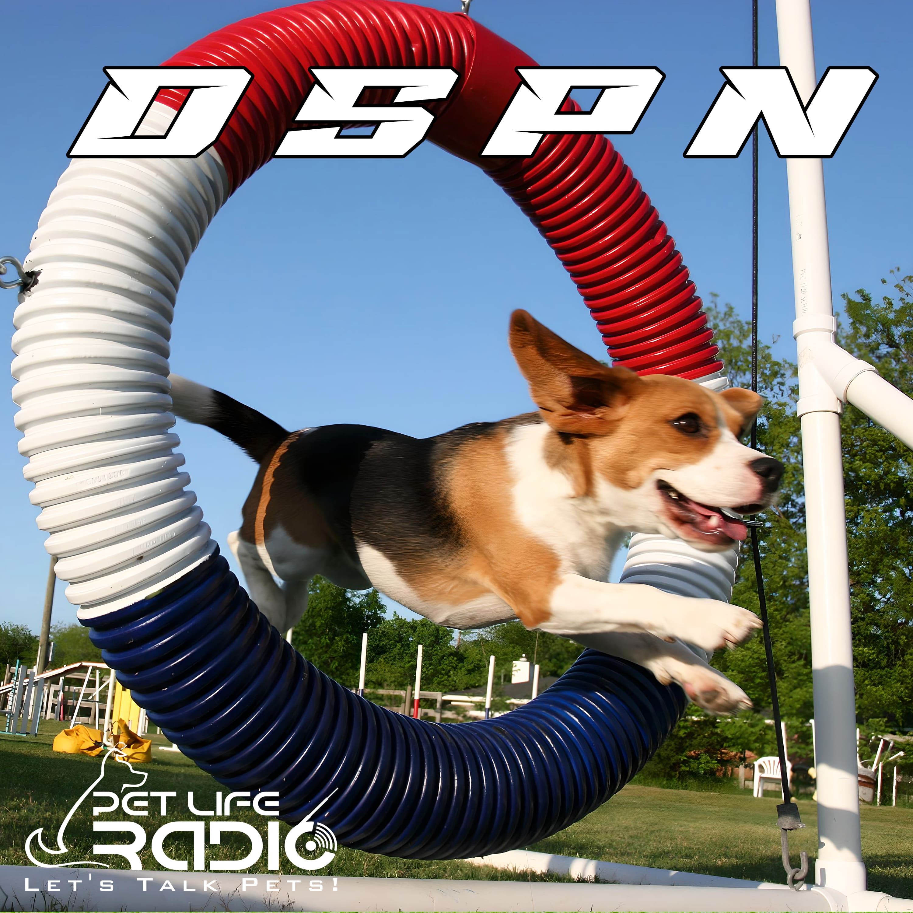 DSPN - The Dog Sports & Performance Network - Pets & Animals on Pet Life Radio (PetLifeRadio.com)