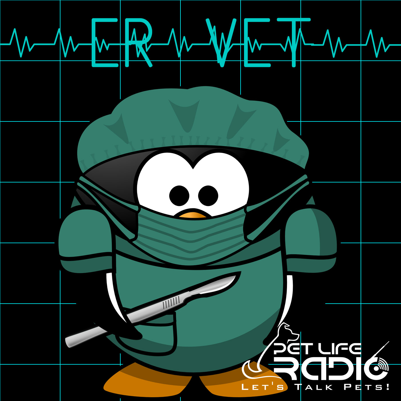 ER Vet - Stories from the animal ER - Pet Life Radio Original (PetLifeRadio.com) Podcast artwork