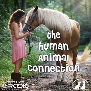 The Human Animal Connection on Pet Life Radio