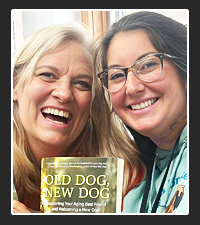 Kathy Callahan and Helen St. Pierre  on Pet Life Radio