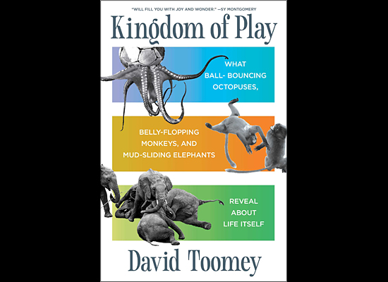 David Toomey - Kingdom of Play  on Pet Life Radio