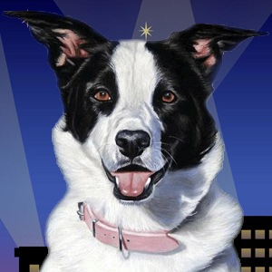 Love That Dog Hollywood  on Pet Life Radio