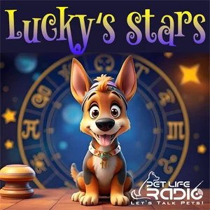 Lucky's Stars on Pet Life Radio