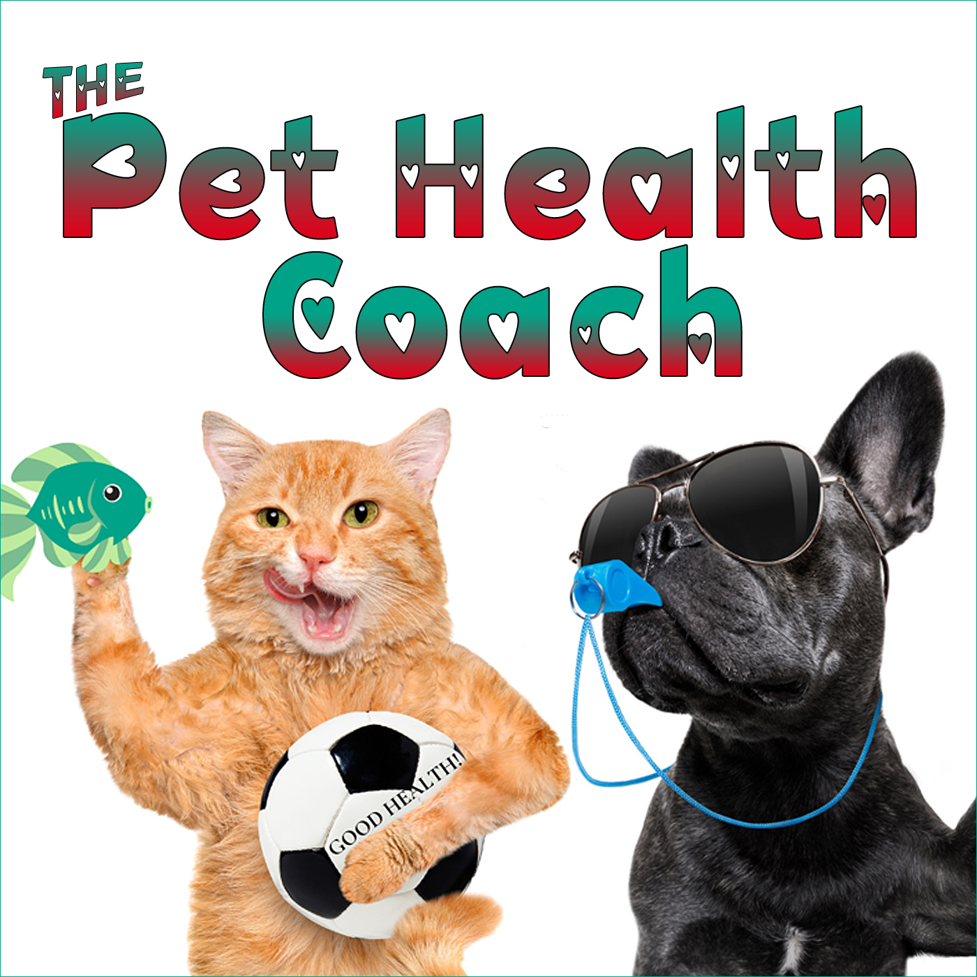 The Pet Health Coach with Jody L. Teiche (formerly The Hound Healer) - natural pet health - Pet Life Radio Original (PetLifeRadio.com)