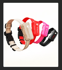 GPS-powered Collar Go on Pet Life Radio