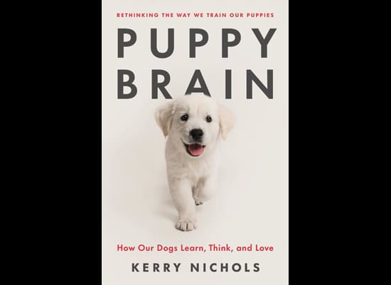 Puppy Brain by kerry Nichols  on Pet Life Radio