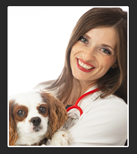 Dr. Rachel Venable  on Pet Life Radio