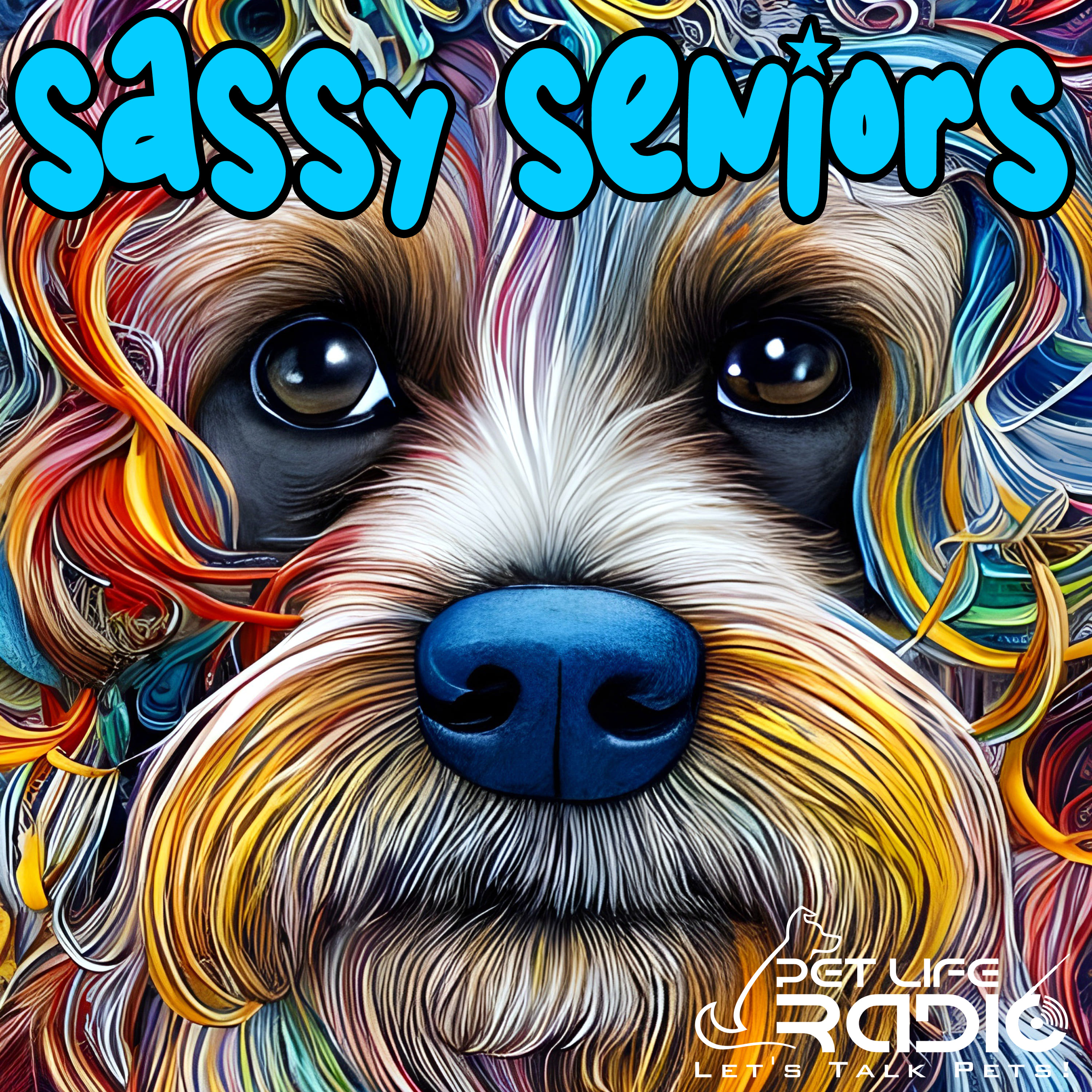 Sassy Seniors - Celebrating Senior Pets - Pets & Animals on Pet Life Radio (PetLifeRadio.com)