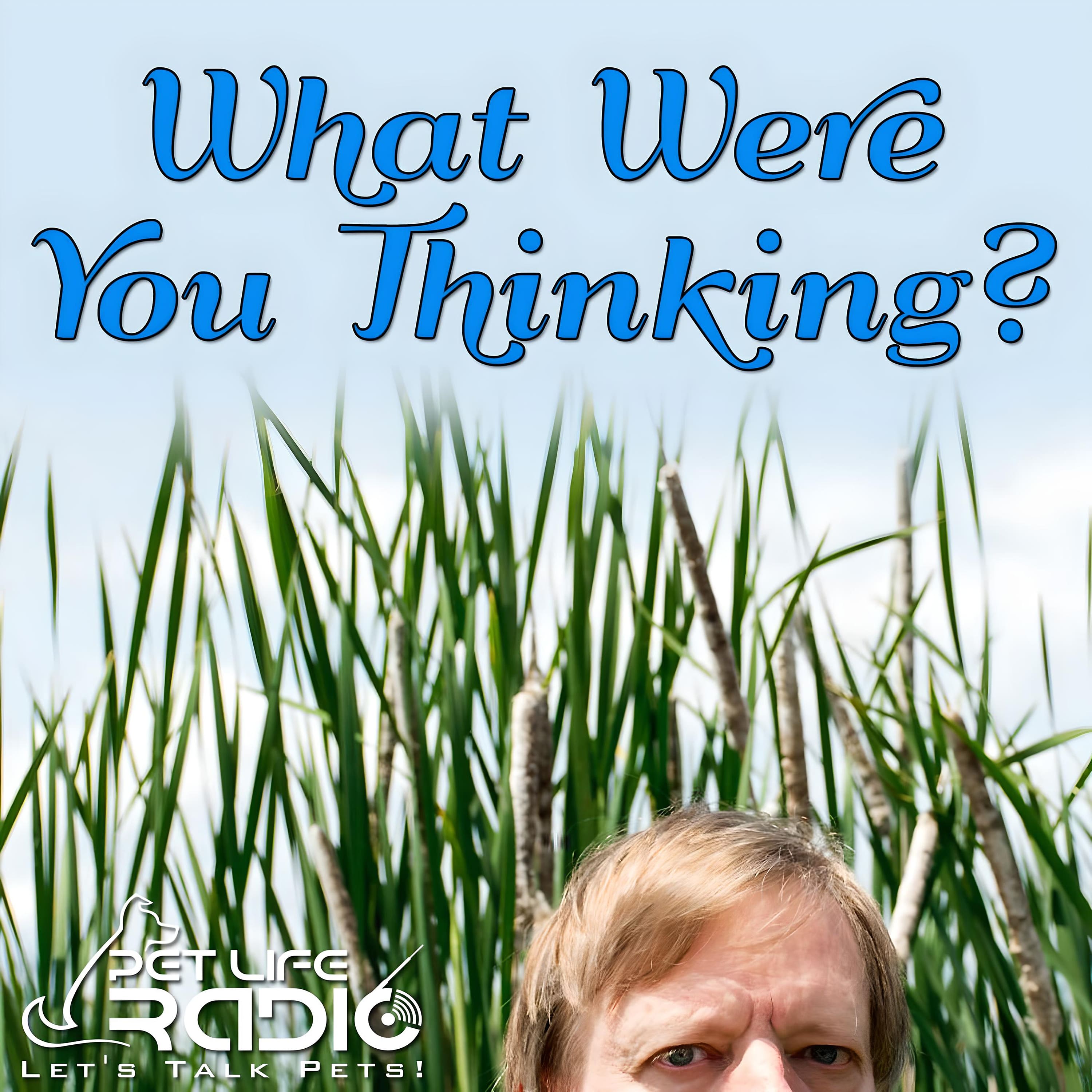 What Were You Thinking - All about exotic pets & animals you can keep as a pet - Pets & Animals on Pet Life Radio (PetLifeRadio.com)