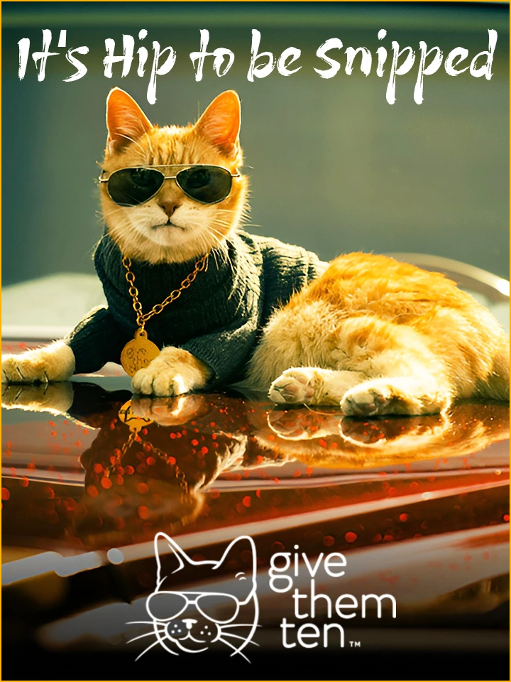 support our Pet Life Radio sponsors