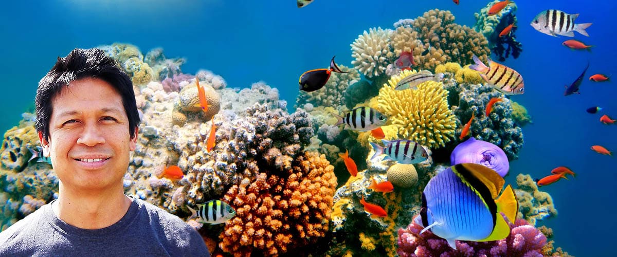 Transport yourself to a natural coral reef 'aquarium' in Indonesia, Reef  Builders